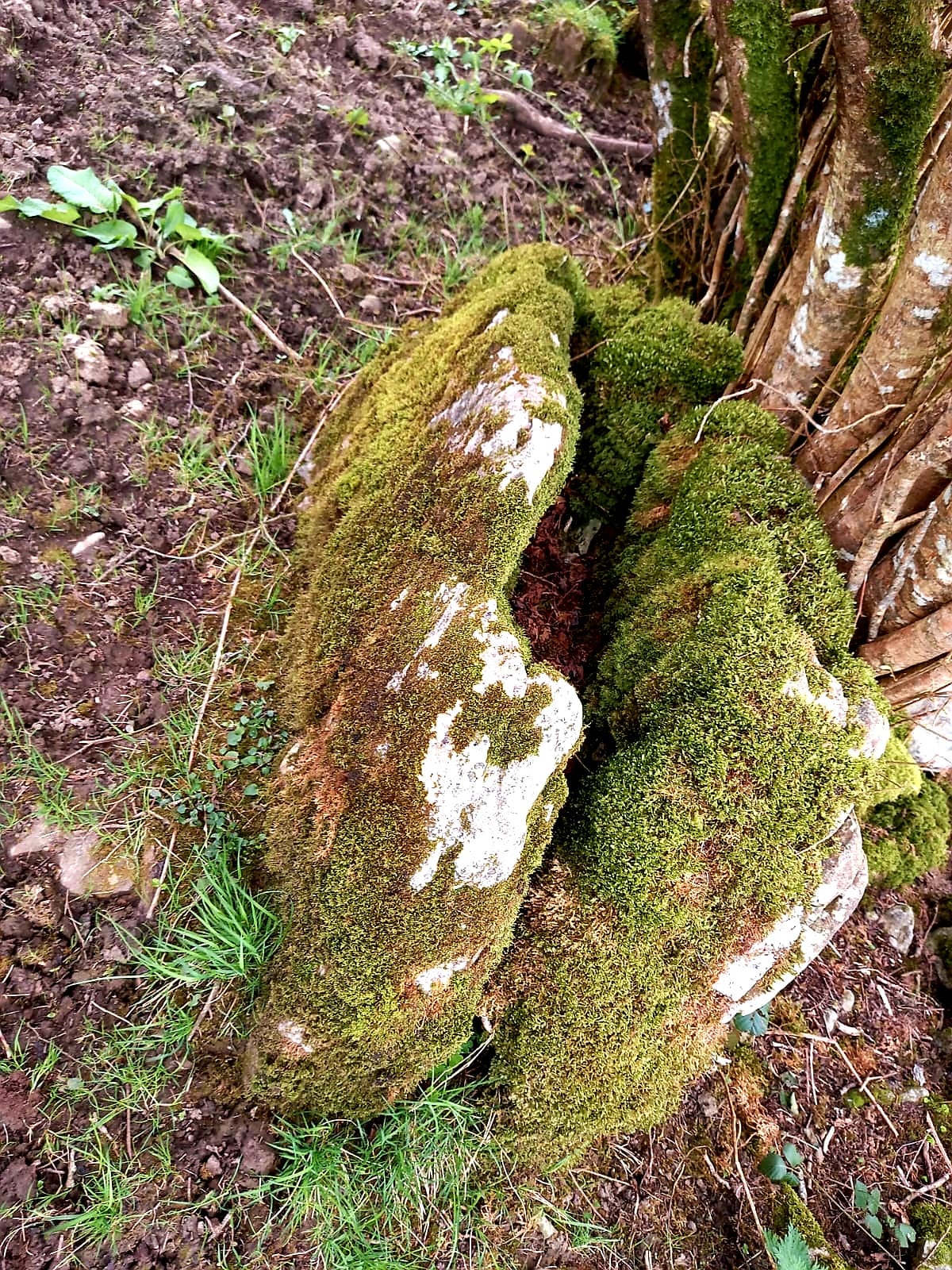 Landscape Art Image 17