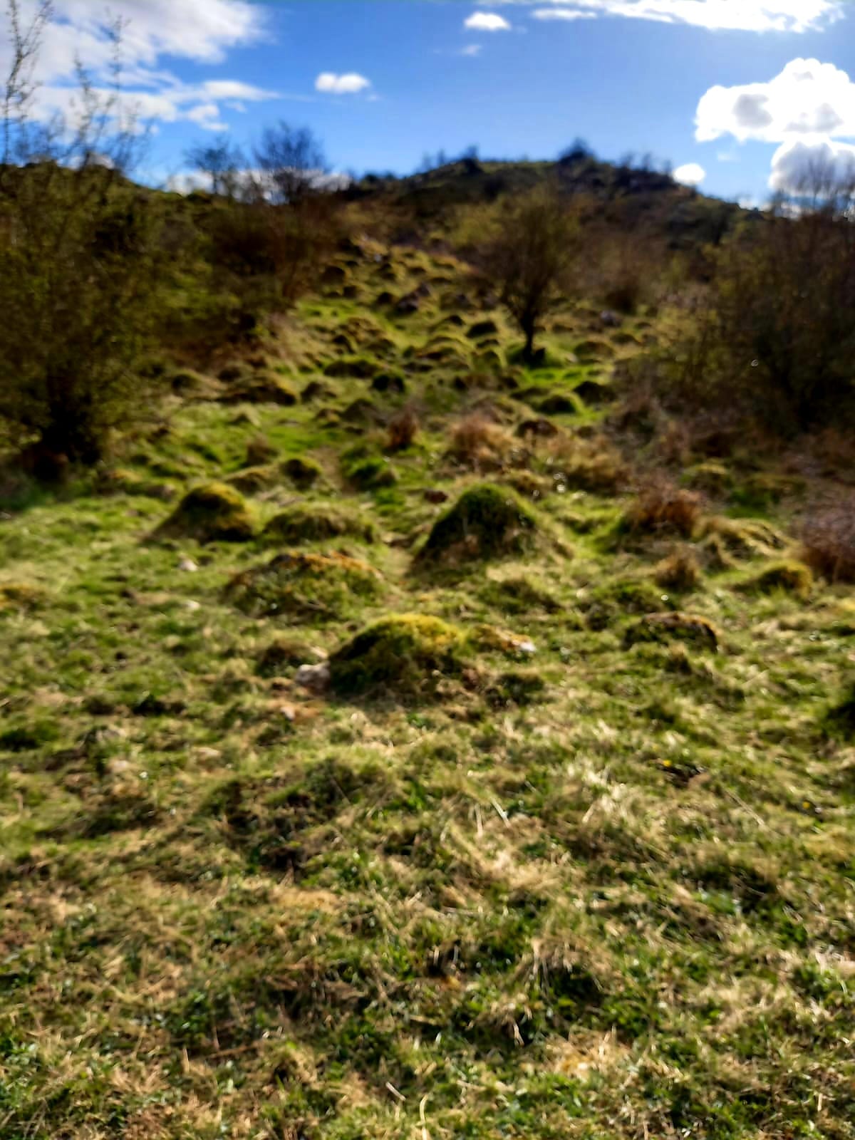 Landscape Art Image 18