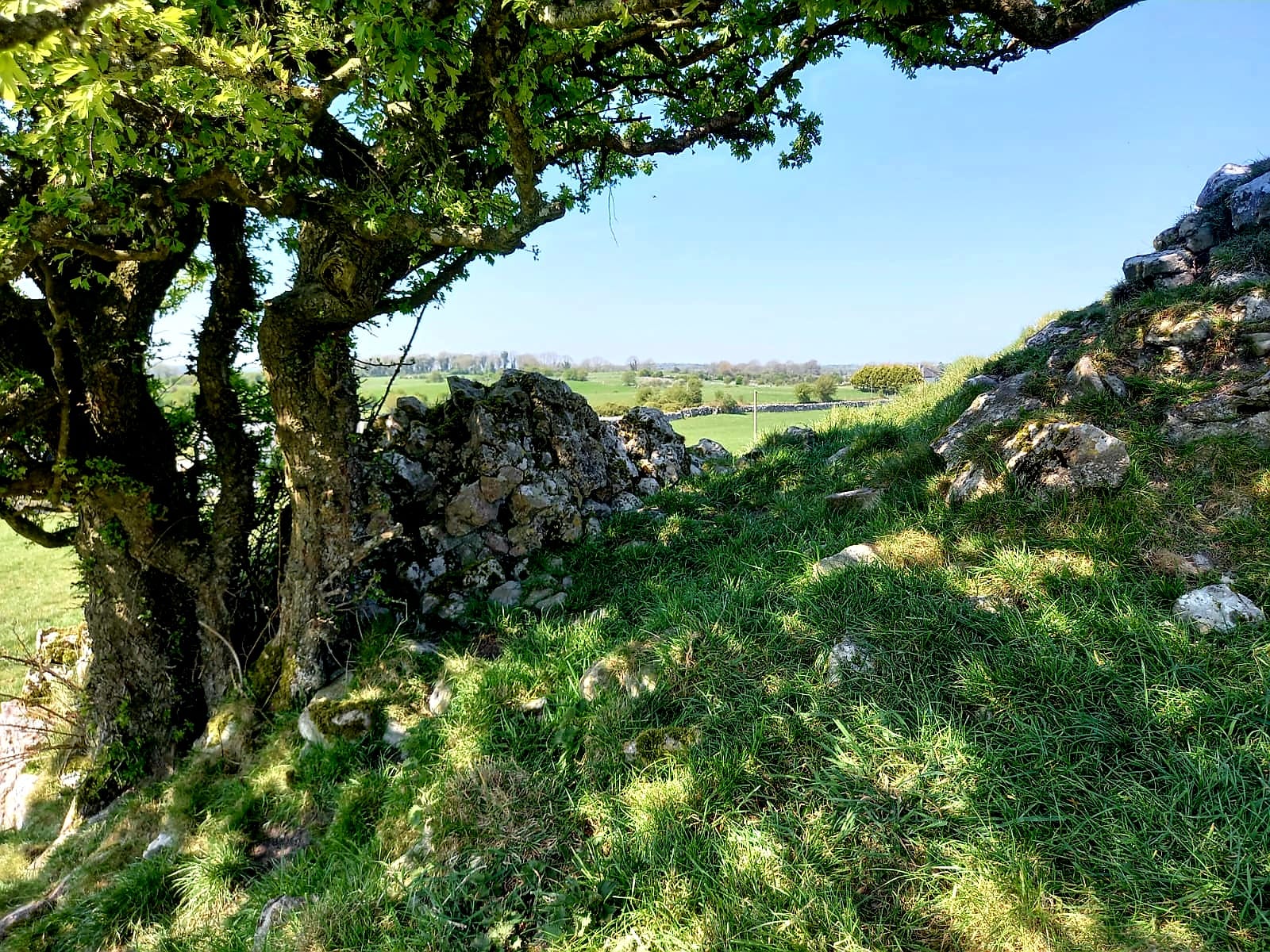 Landscape Art Image 22