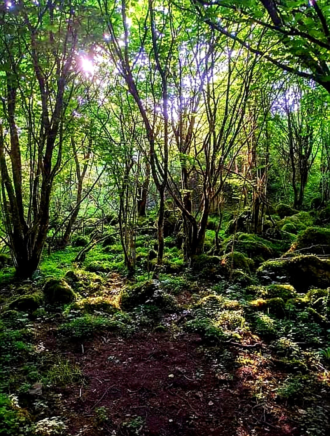 Landscape Art Image 25